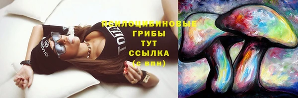 крисы Алзамай