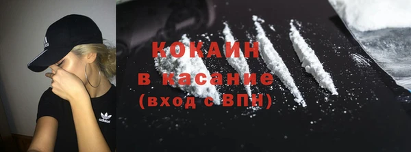 крисы Алзамай