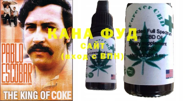 молекула духа Каменка