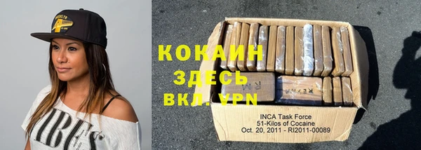 крисы Алзамай